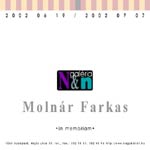 in memoriam Molnár Farkas 2002. 06. 19.-2002. 07. 07.-ig
